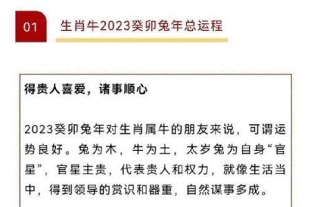 997年牛年命理分析：探索牛年人的性格与命运