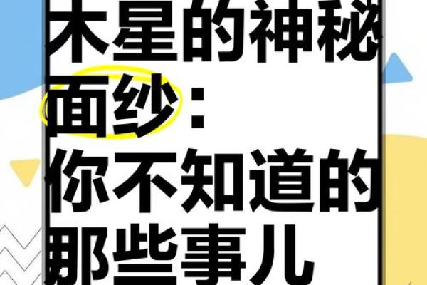 揭开木命男人的神秘面纱：性格特征与生活智慧