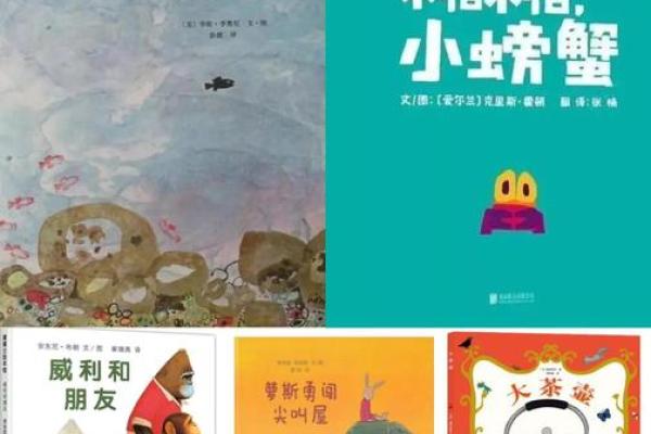 属猪男孩17岁命运解析：探寻生命之路的智慧与指引