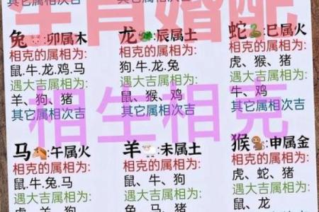 解密农历56年命理：属鼠之年的性格与运势分析
