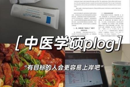 属猪男孩17岁命运解析：探寻生命之路的智慧与指引