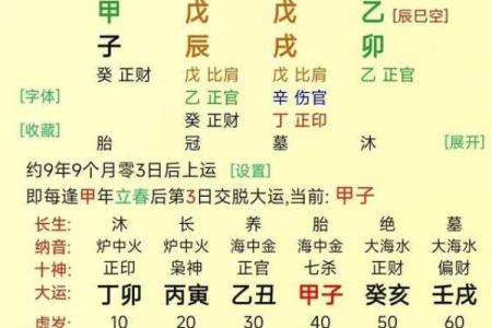 戊戌年属狗人的命理解析：探寻人生的吉凶与机遇