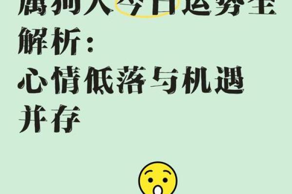 2017年属狗的命理解析：揭秘你命中的幸运与挑战！