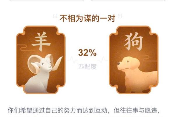 2017年属狗的命理解析：揭秘你命中的幸运与挑战！