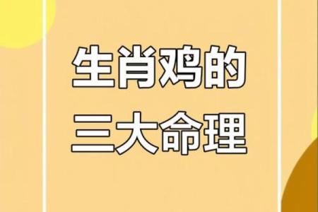 69年出生的人命运解析：如何让人生更精彩