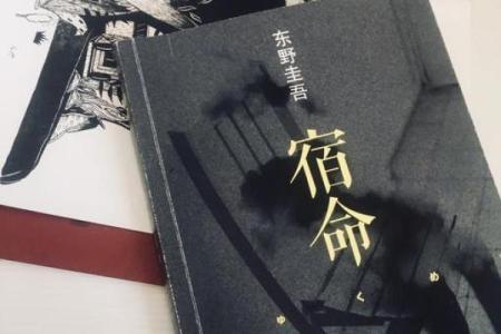 探寻命运的丝线与生活的绳索：绳命相织的哲思