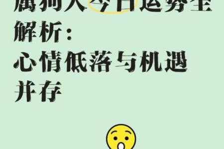 2017年属狗的命理解析：揭秘你命中的幸运与挑战！