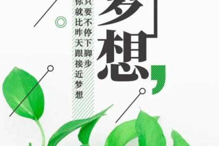 2019年新年的富有寓意：迎接崭新开始的希望与梦想