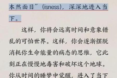 命正：探索生活中隐藏的智慧与力量