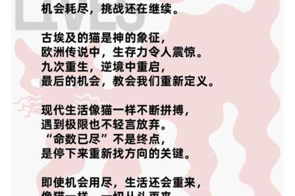“我有几条命，你有九条命”——探索生命的繁复与坚韧