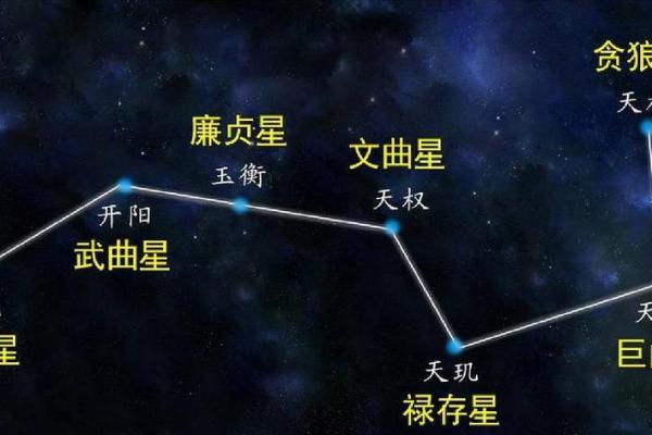 揭秘80腊月出生的猴子命运，探寻人生的奥秘与智慧！