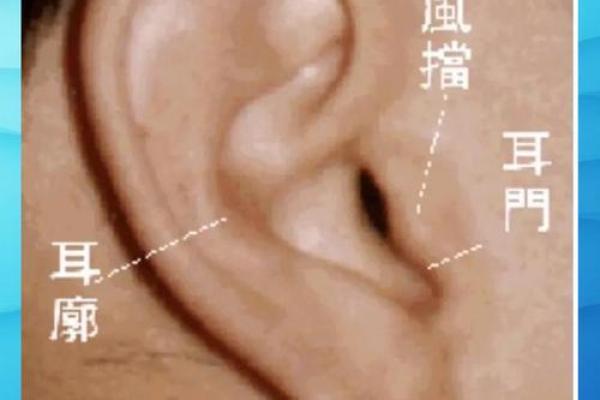 耳朵长细的女性命运解析：她们的独特魅力与内在世界