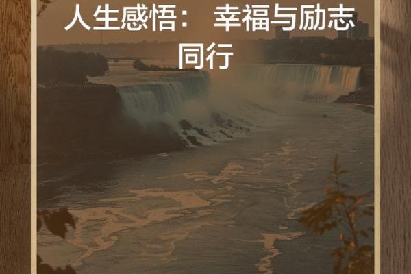 追寻幸福的道路，是什么指引我们前行？