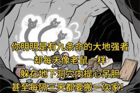 “我有几条命，你有九条命”——探索生命的繁复与坚韧