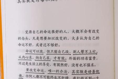 1991年12月25日出生的人：命理解读与人生启示