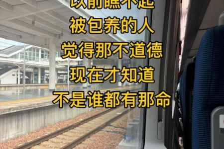 探寻“以命还命”的深刻含义与道德思考