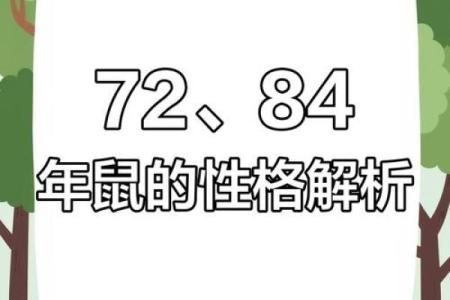 1984年出生属鼠的命运分析：从五行看生活与事业的风向标
