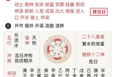 揭秘己亥丁丑戊辰壬子命的命理奥秘与人生智慧