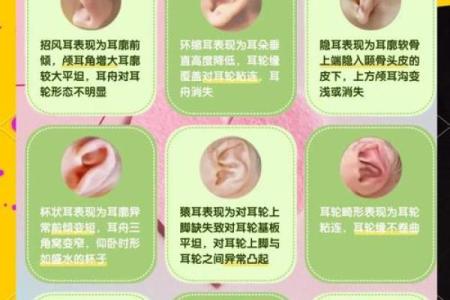 耳朵长细的女性命运解析：她们的独特魅力与内在世界