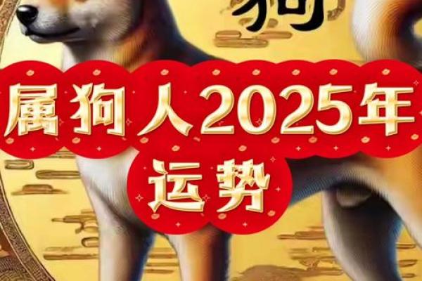 属狗人的命理解析：揭秘狗年生人的命运之路