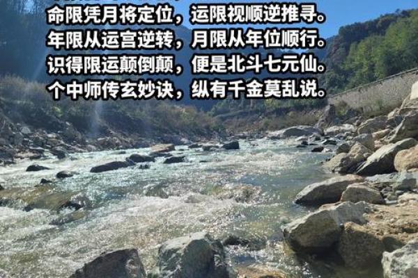 命理学入门：探寻人生运势与命运的奥秘