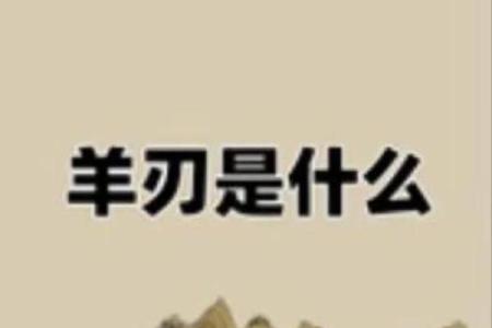 女命财多的隐忧：从命理角度看财富的双刃剑