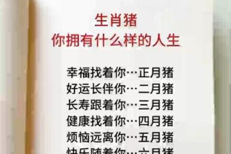 1970年出生的人属什么命？解读生肖命理与人生轨迹
