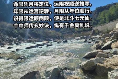 命理学入门：探寻人生运势与命运的奥秘