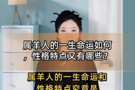 探索1963年属羊人的命运与性格魅力