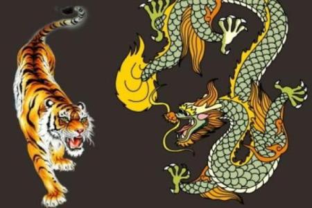 2000年出生男性的命运分析：探索属龙之人的人生旅程