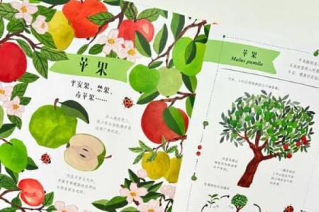 风水中辣椒命的独特魅力与生命智慧