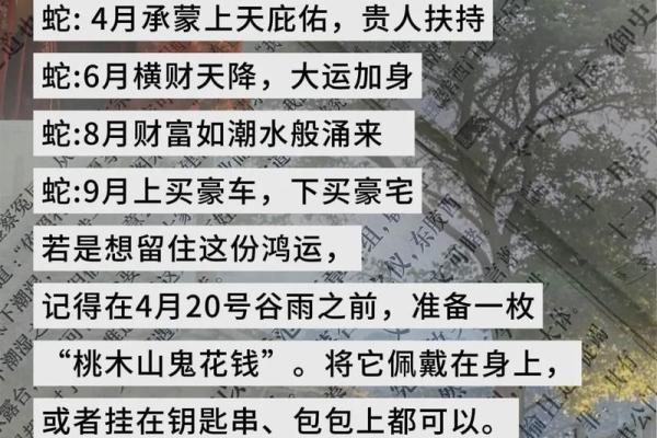 79年属蛇命理揭秘：探寻你的命运与发展路径