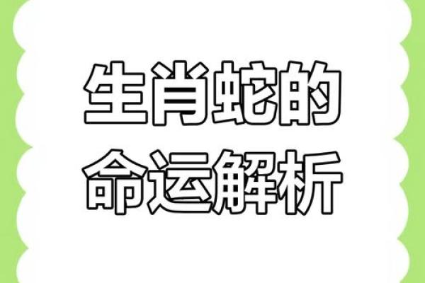 揭秘七八年出生的人生肖命的独特之处与命理解析