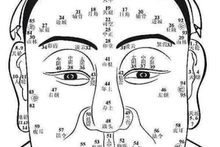 左眼皮有疤痕的命运解析：神秘的面相及其影响