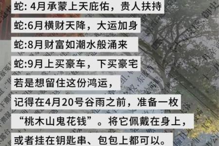 79年属蛇命理揭秘：探寻你的命运与发展路径