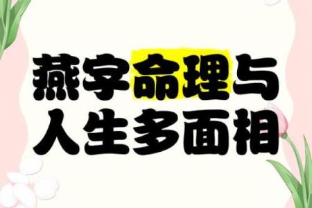 七二七三年：透视命理与人生轨迹的奇妙联系