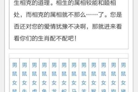 揭秘七八年出生的人生肖命的独特之处与命理解析