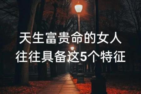 真正的富贵命：如何解读人生的财富与幸福之道