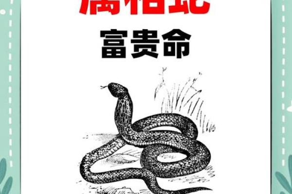 属蛇人命不好见解:命运与性格的交织与挑战 属蛇人命不好见解:命运与性格的交织与挑战