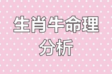 73年牛女生命运分析：勤奋坚韧与幸福生活之道