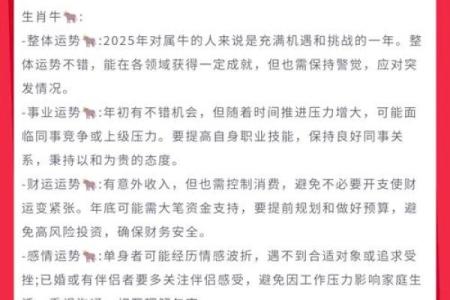 2023年的生肖运势与命理解读：机遇与挑战并存