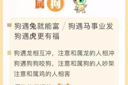 1954年属狗的人命运解析与性格特点