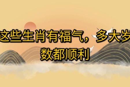38岁属鼠人的命运解析：如何在生活中找到成功与幸福