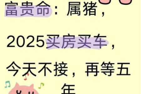 属猪40岁命运探秘：开启人生新篇章的智慧与勇气