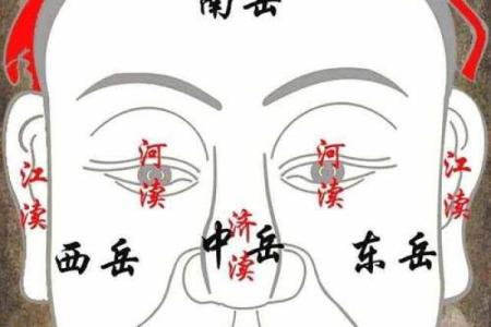 面相解密：探寻属于富贵命格的面相特征与运势密码