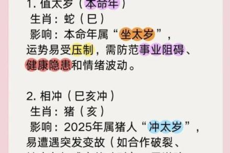 属蛇人命不好见解：命运与性格的交织与挑战