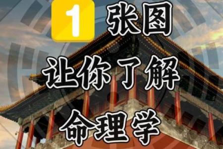 2022年36岁属什么命？探索属相与命运间的奥秘！