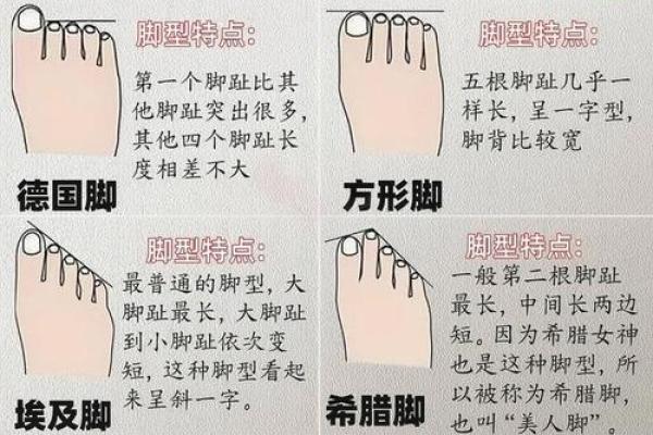 揭开富贵米字命的秘密:脚型与命运的奇妙关联 揭开富贵米字命的秘密:脚型与命运的奇妙关联