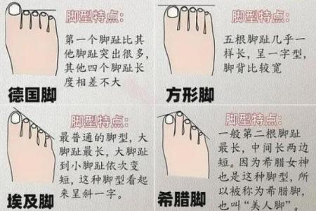 揭开富贵米字命的秘密：脚型与命运的奇妙关联