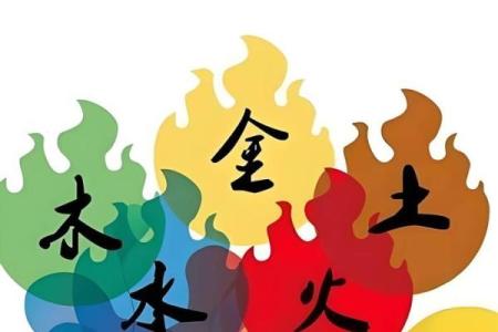 男性生肖属相与命运的深刻联系：揭开人生的秘密